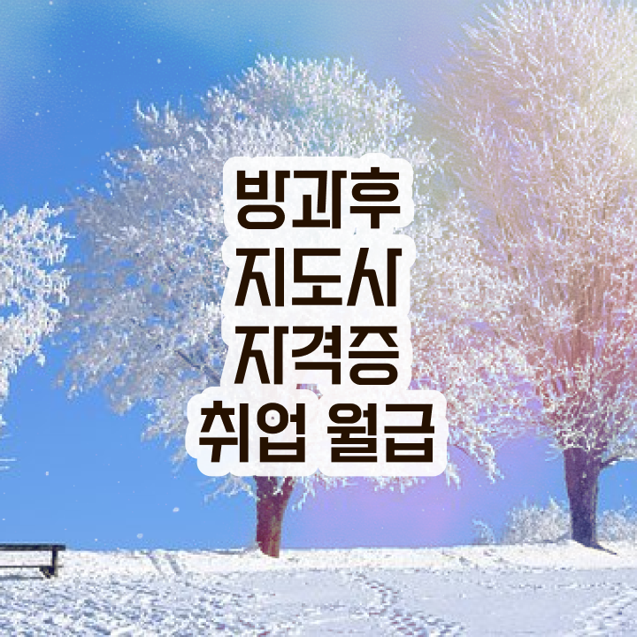  초등학교 돌봄교사 , 방과후지도사자격증 준비한 방법 및 교육기관