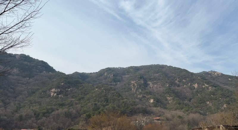 사진 4