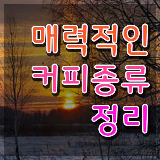  , 바리스타 자격증 합격 후기 전격분석
