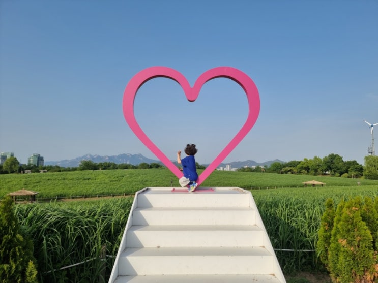 3살 아이와 함께 상암 하늘공원에서 맹꽁이 전기차를 타고 멋진 하늘과 한강뷰를 만끽하다 3살 아이와 함께 상암 하늘공원에서 맹꽁이 전기차를 타고 멋진 하늘과 한강뷰를 만끽하다