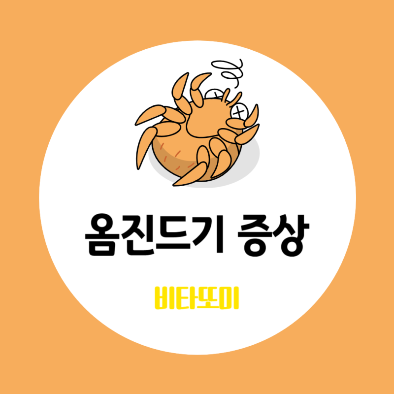 옴진드기 증상, 옴진드기 치료