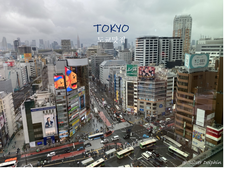  일본여행 도쿄 (Tokyo) 시부야 맛집 추천: 몬자야끼  모헤지(MOHEJI)