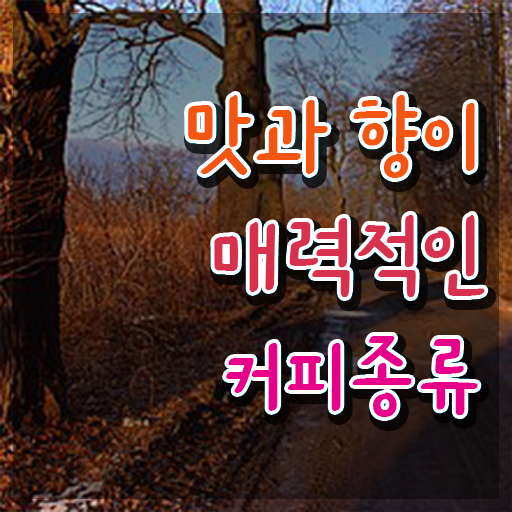  바리스타2급필기 , 바리스타 자격증 취득한 방법 정리해봤어요