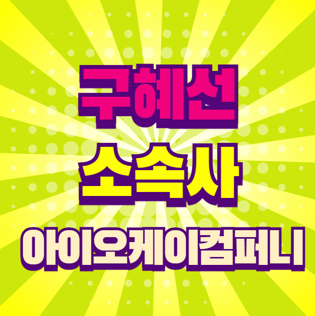 구혜선 소속사 아이오케이컴퍼니 소속연예인