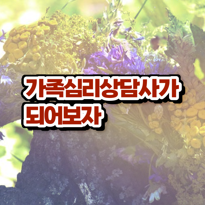  가족문제상담 , 가족심리상담사 자격증 구체적인 준비한 방법 , 채용 정보