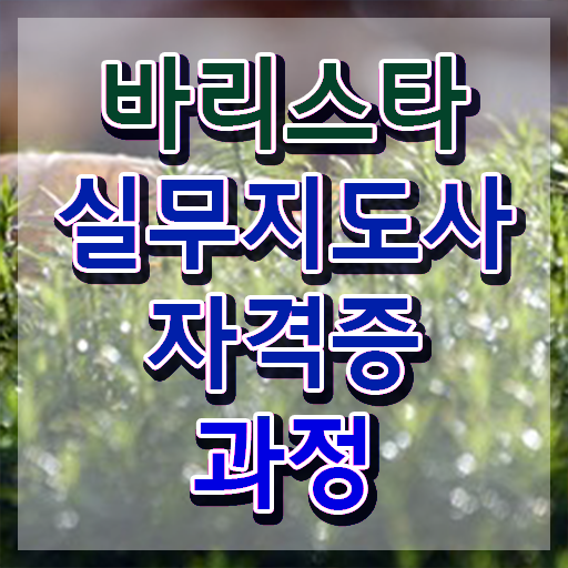  바리스타 2급 1급 , 바리스타 자격증 15일 만에 학습한 후기 , 취업 전망
