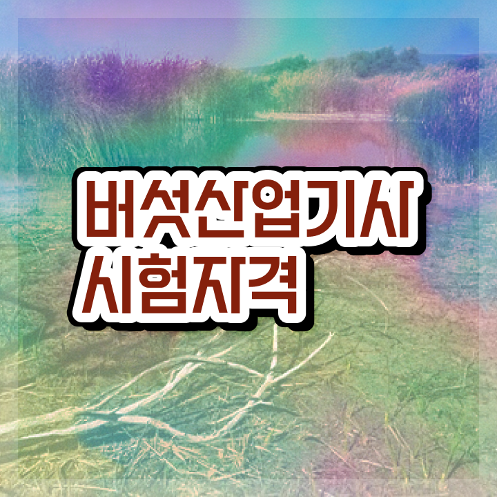  버섯산업기사 시험응시자격 학점은행제로 편하게 끝낸 과정