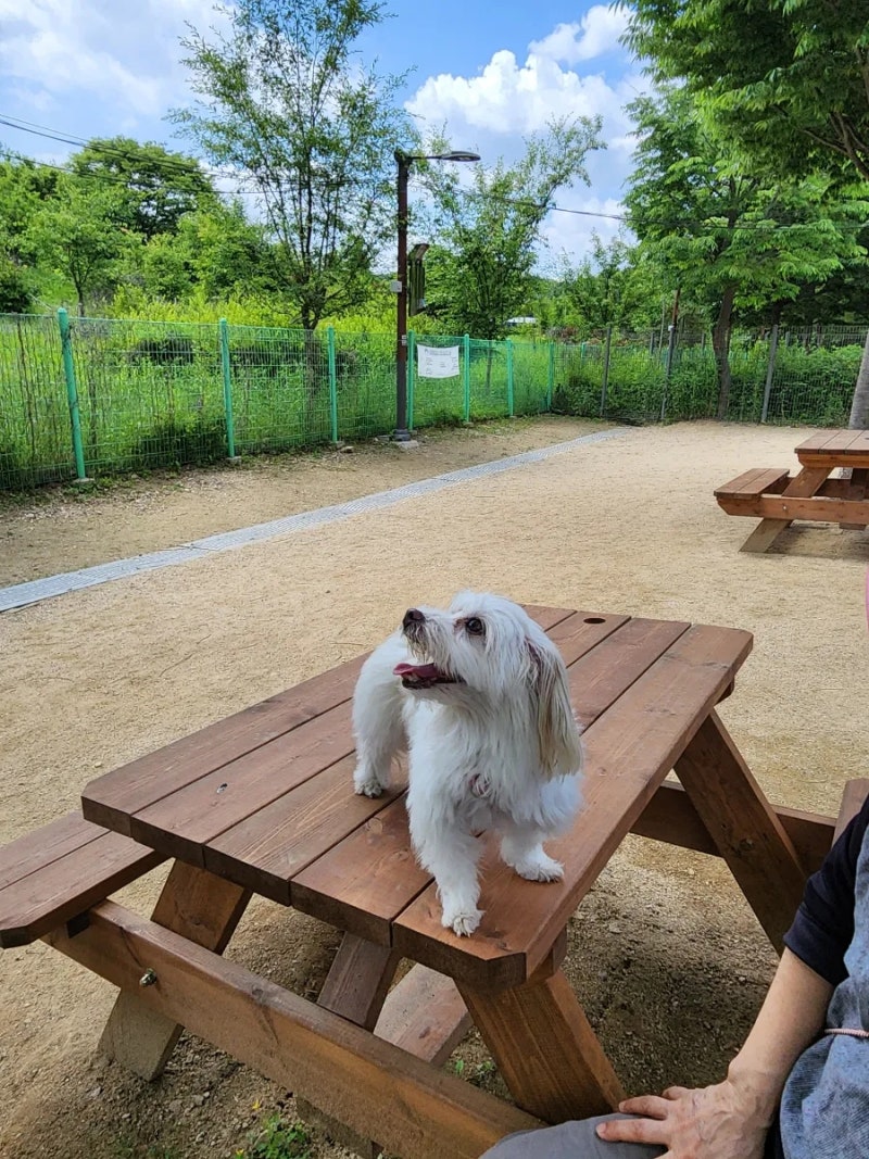 사진 5