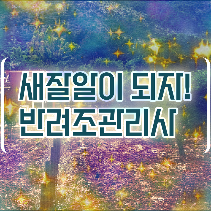  모란앵무 먹이 , 반려조관리사 자격증 합격 후기 확인해보세요