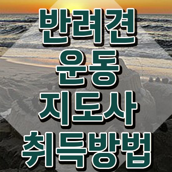 반려견운동지도사 독학 , 1급,2급 동시에 반려견운동지도사 합격한 후기