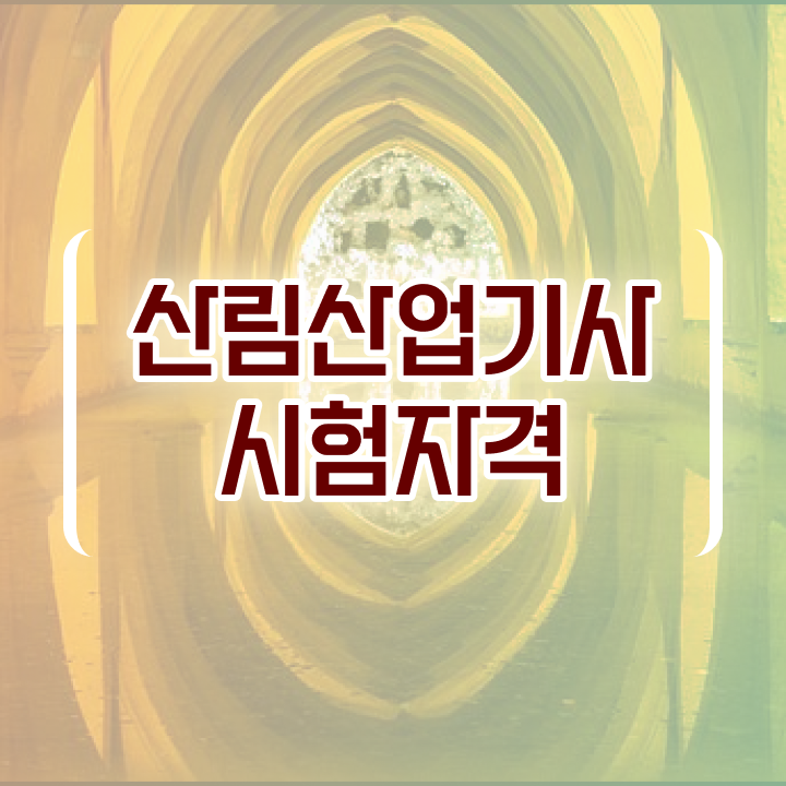  산림산업기사 필기 준비 산림산업기사 응시자격 독학으로 1학기 만에 완료한 비법