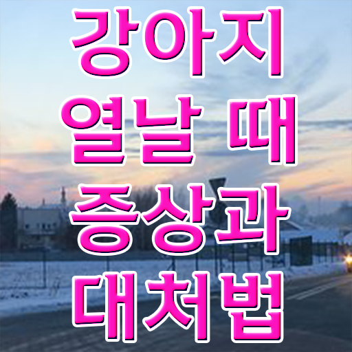  서울 반려동물의료비지원 , 반려동물관리사 자격증 취득 정보 알아볼게요