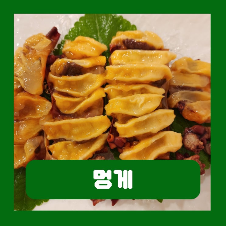 제철 멍게의 효능 부작용 칼로리 영양성분
