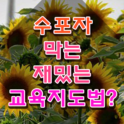  스토리텔링수학지도사학원 , 스토리텔링수학지도사 자격증 시험준비 알려드려요