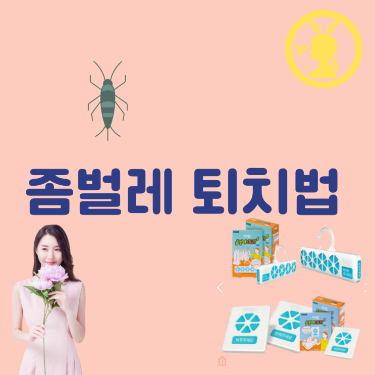  좀벌레 원인 좀벌레 퇴치법 약 트랩 옷장 서랍장 퇴치제 무향