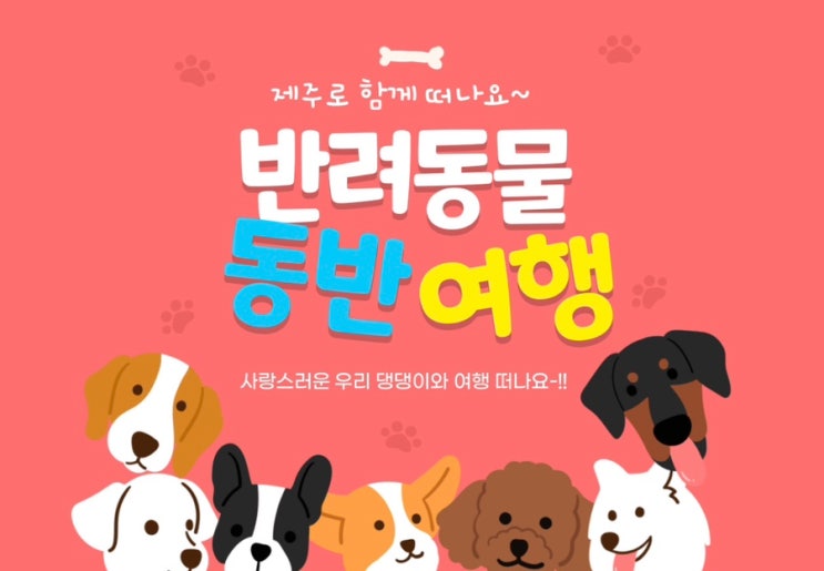  제주 애견동반 혼저옵서개 숙소 맛집 비짓제주