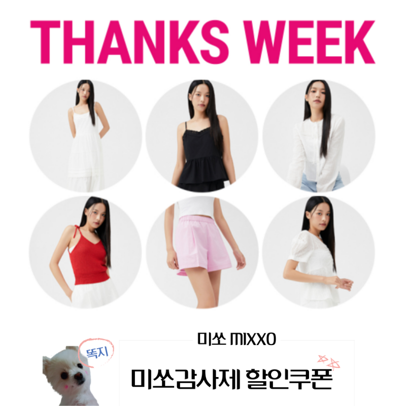 미쏘 MIXXO 감사제 세일 가성비 있게 쇼핑하기 (feat.할인코드)