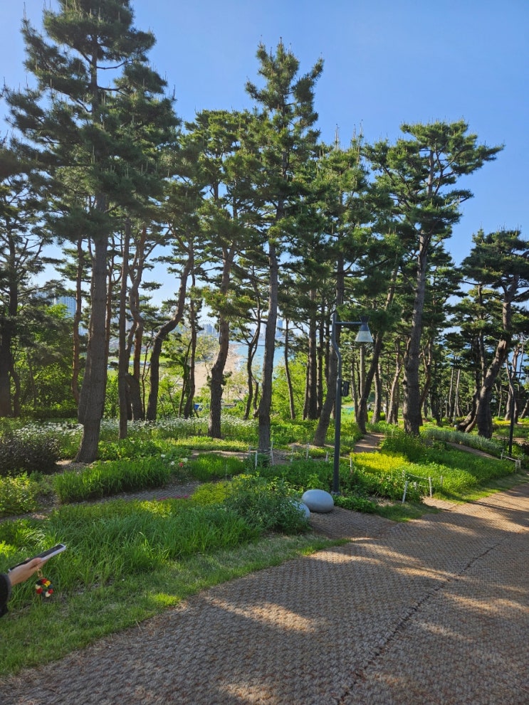  속초 1박 2일 편한 즐거움(첫날)
