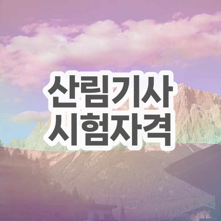  산림기사 응시자격 서류제출 산림기사 시험자격 인강만 듣고 쉽고 빠르게 준비한 후기