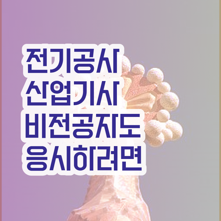  전기공사산업기사 자격 전기공사산업기사 시험응시조건 독학으로 쉽고 빠르게 성공한 과정
