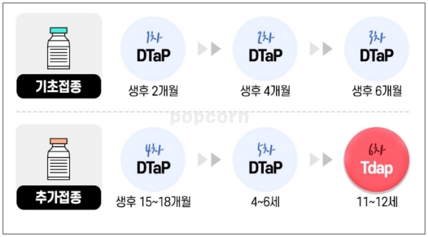  백일해란? 증상 합병증 및 성인 예방백신 접종 주사 시기 알아보기