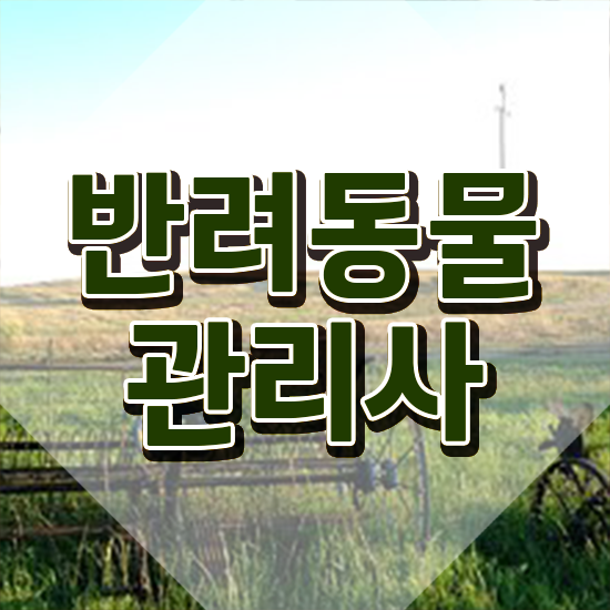  반려동물 자격증 교육과정 , 반려동물관리사 자격증 응시자격 없이 취득과정 보고가세요