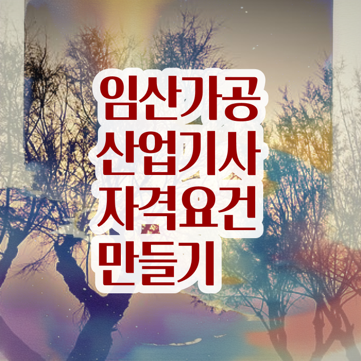  임산가공산업기사 시험자격 온라인 수업으로 단기간에 준비한 방법