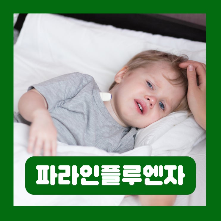  파라인플루엔자 감염증 소아 여름감기 바이러스 원인 쿠룹 증상 치료