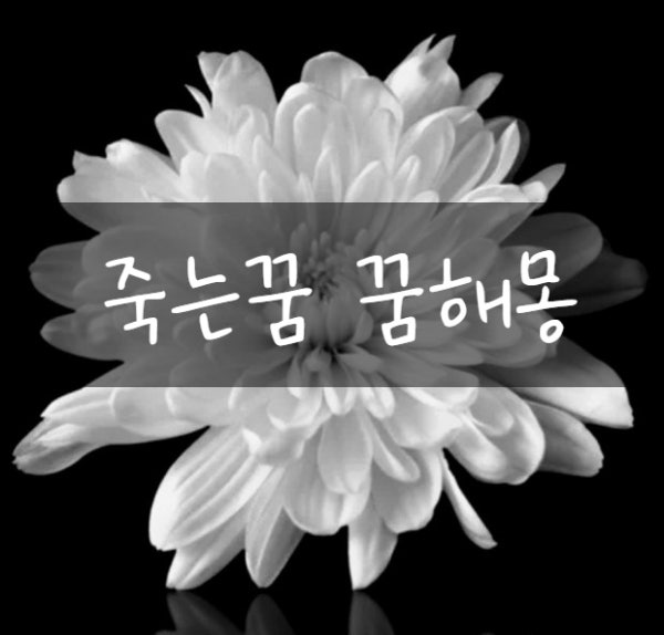 죽는꿈 꿈해몽