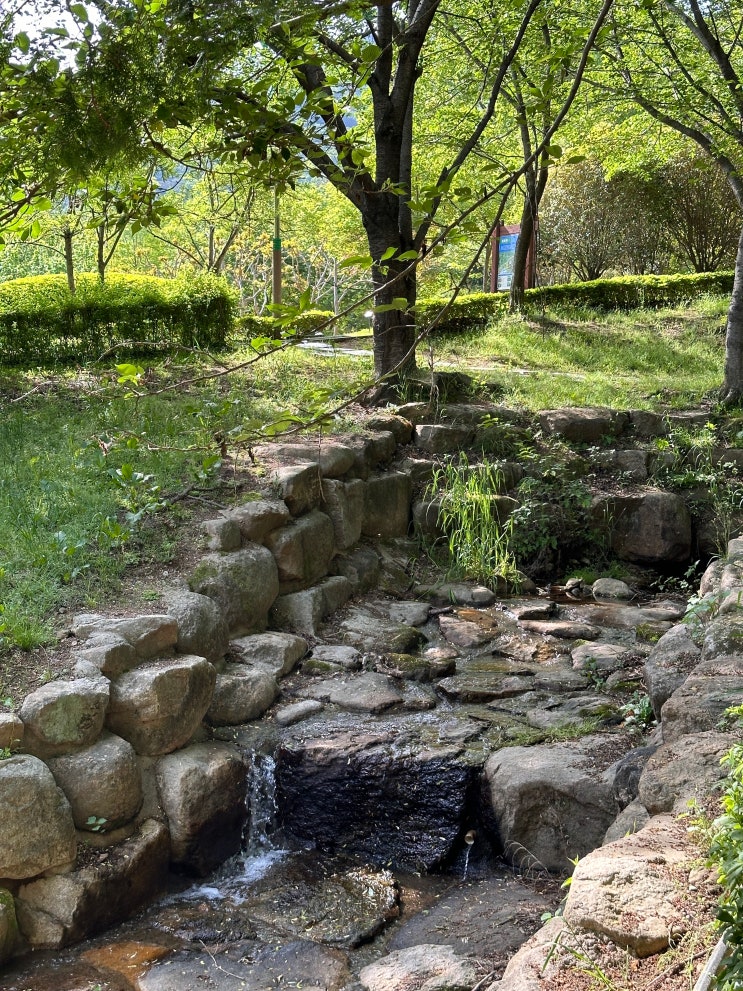  부산 화명수목원 주차 산책로, 부산 계곡 물놀이 숲놀이터 추천