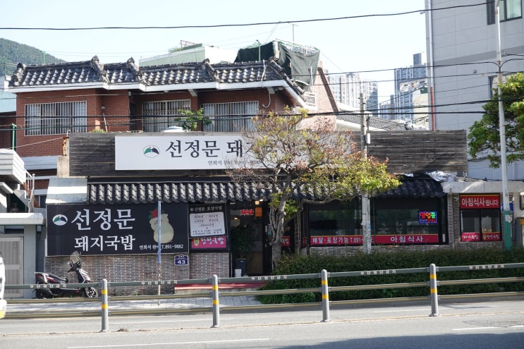  부산 당감동 맛집 선정문 돼지국밥 놓치면 후회할텐데 내돈내산 리뷰