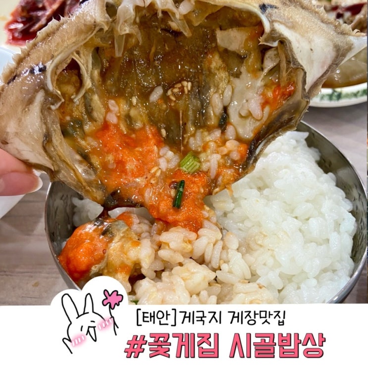  태안 안면도 여행중 만난 꽃게집 시골밥상 속이꽉찬 게국지 게장 맛집