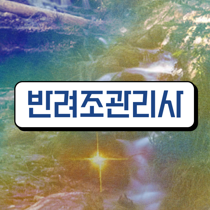  퀘이커 앵무새 종류 , 반려조관리사 자격증 간단하게 취득한 노하우 , 취업 전망