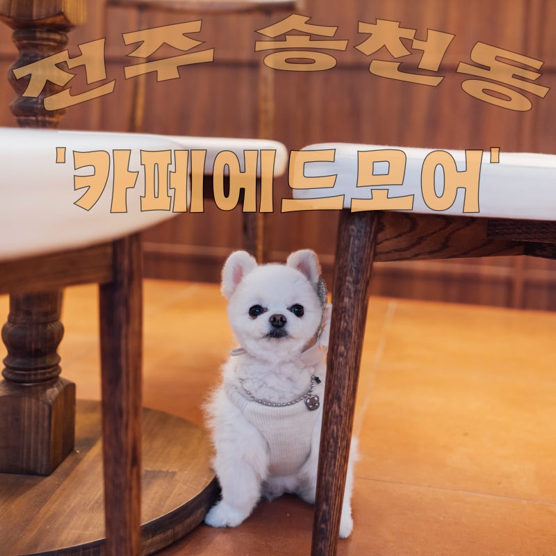카페에드모어
