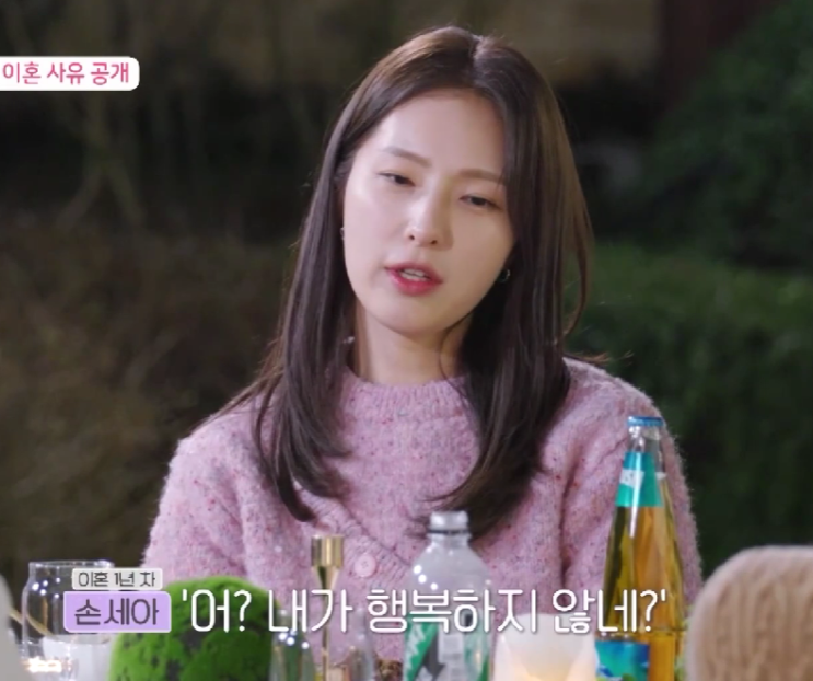  돌싱글즈5 손세아 이혼사유 저 잘했죠? (+글쎄)