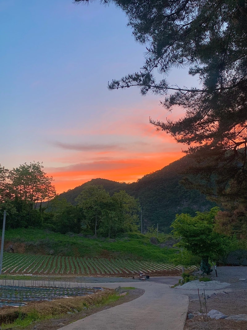사진 2