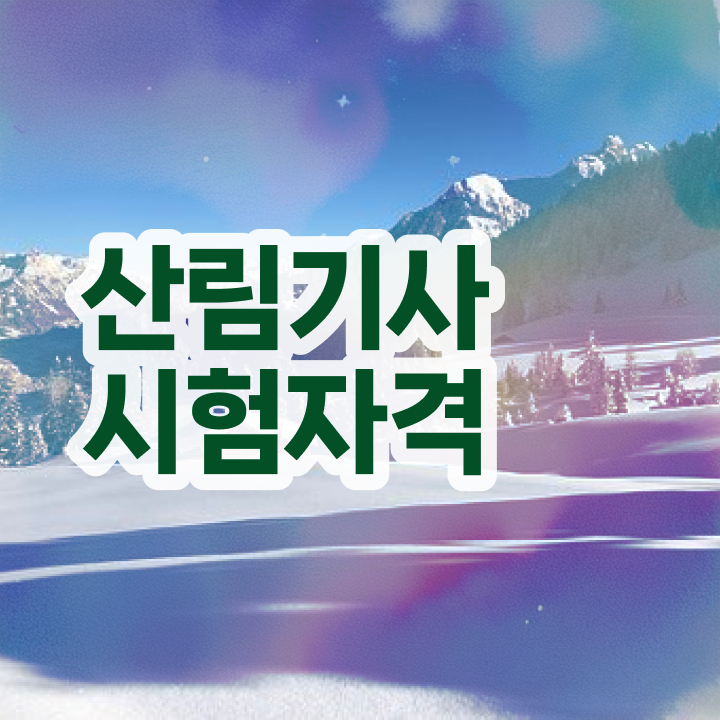  산림 기사필기 산림기사 시험응시자격 온라인 과정으로 15주만에 성공한 노하우
