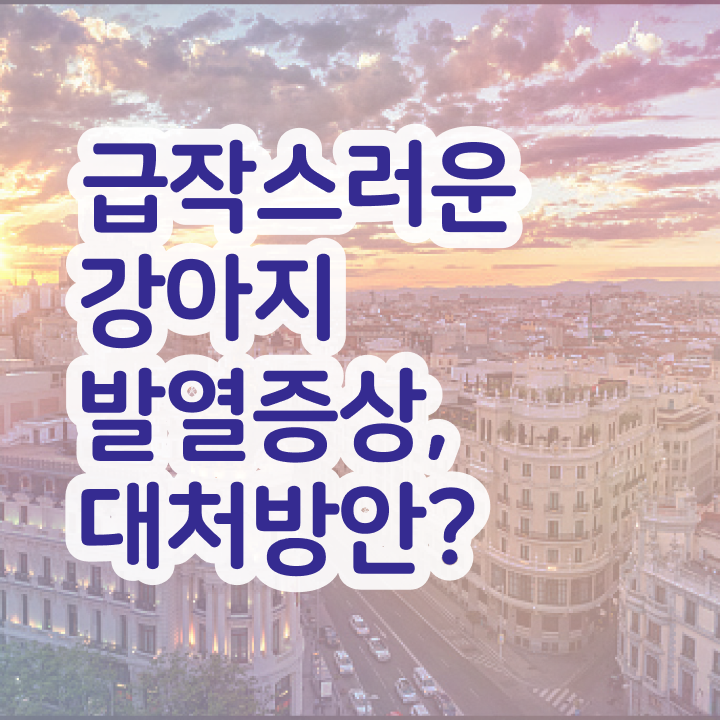  반려견 상담사 , 반려동물관리사 자격증 2주 만에 합격한 팁 및 구직정보