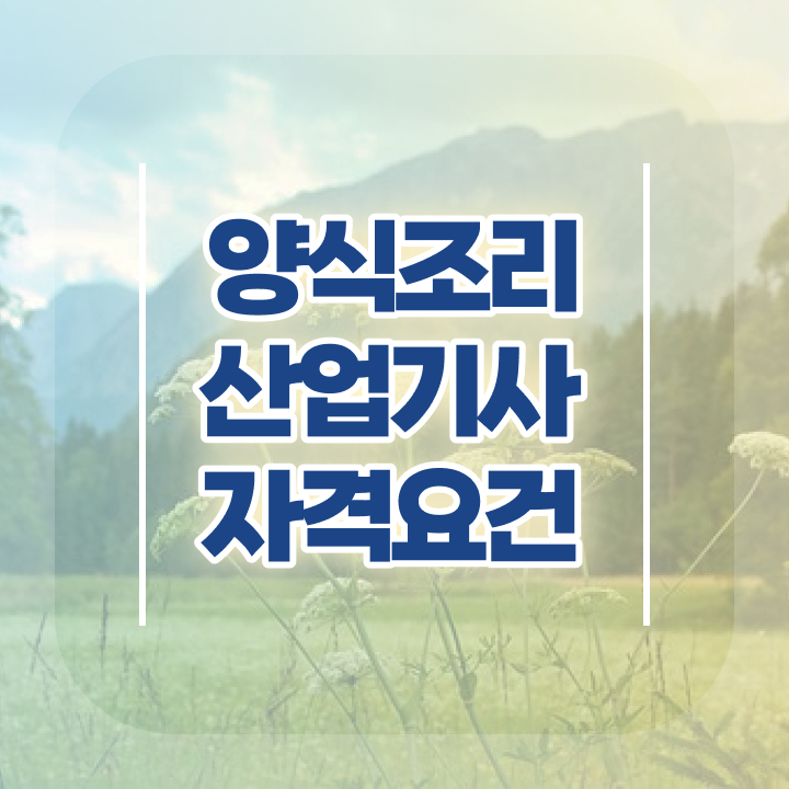  양식조리산업기사 응시자격 양식조리산업기사 자격요건 학점은행제로 1학기 만에 끝낸 후기