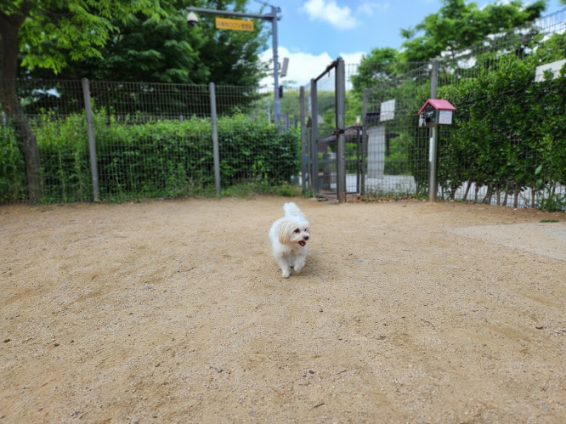 사진 6