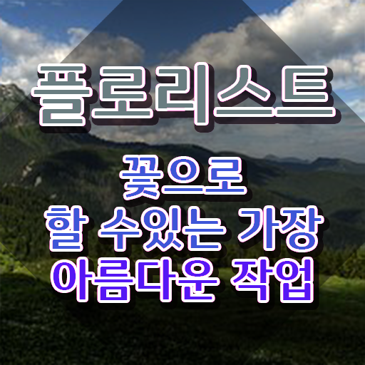 수원꽃꽂이원데이클래스 , 플로리스트 자격증 취득 노하우 확인해봅시다