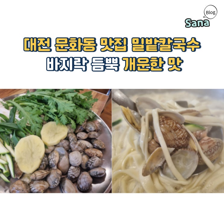  대전 문화동 맛집 밀밭칼국수 바지락 듬뿍 개운한 맛
