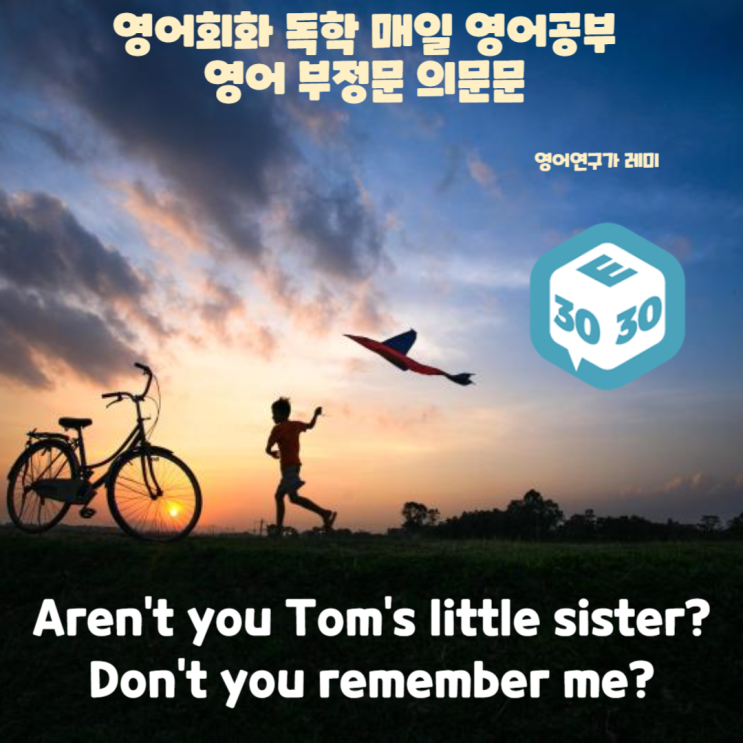 영어회화 독학 매일 영어공부 영어 부정의문문 영어회화 독학 매일 영어공부 영어 부정의문문