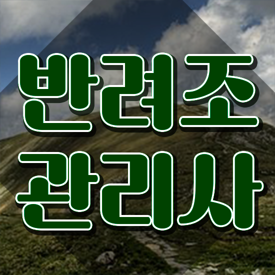  코뉴어 앵무새 수명 , 반려조관리사 자격증 한달 만에 학습 알려드립니다