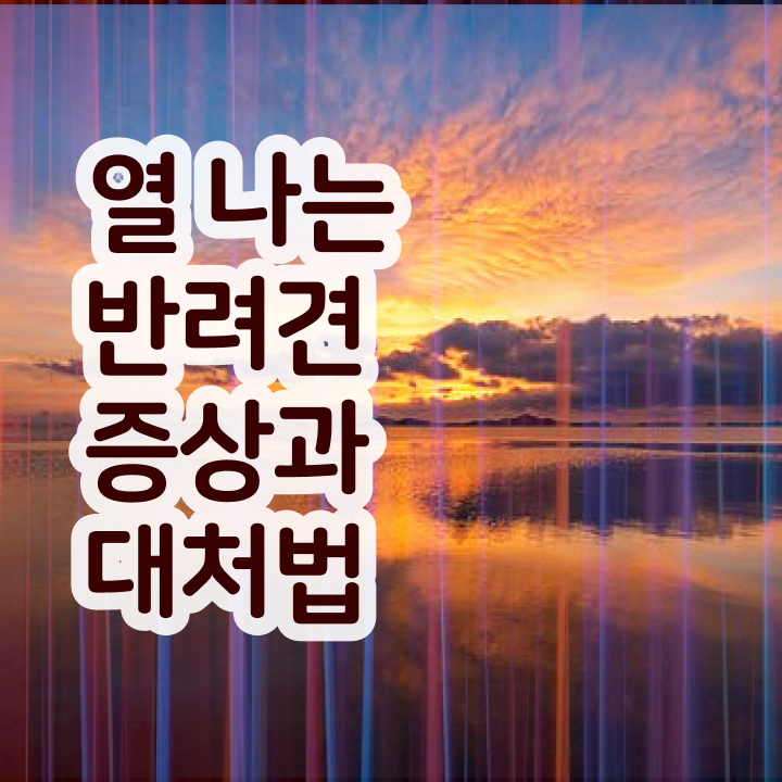  반려동물행동지도사 자격증 , 반려동물관리사 자격증 2주 만에 합격정보 , 구직정보