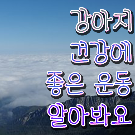  40대여성자격증 , 반려견운동지도사 인강만 듣고 독학으로 초단기 끝내는 후기