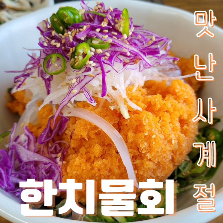  제주 한치철 [맛난사계절] 제주한치물회 닭머르 해안길 근처 맛집