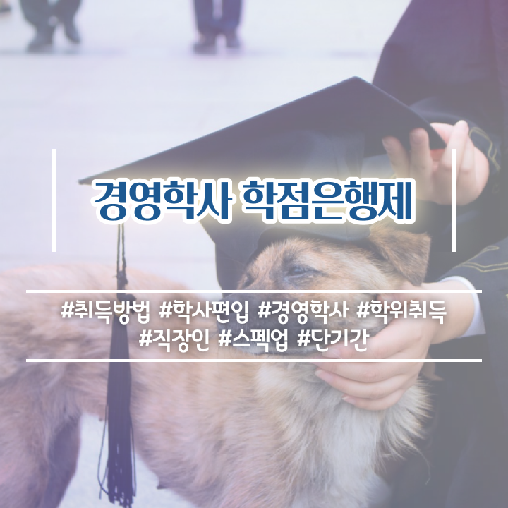  학점은행제 학점확인 학점은행제 성적 Check