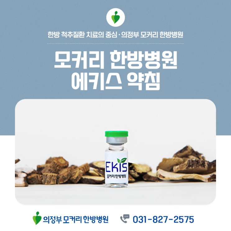  의정부 모커리한방병원 에키스약침 효능, 특징, 안전성, 대상 환자