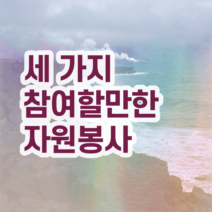  자원봉사지도사 기간 , 자원봉사지도사 자격증 상세한 학습한 후기 , 이후 전망